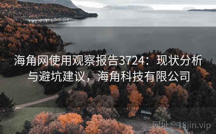 海角网使用观察报告3724:现状分析与避坑建议,海角科技有限公司 海角网使用观察报告3724:现状分析与避坑建议,海角科技有限公司