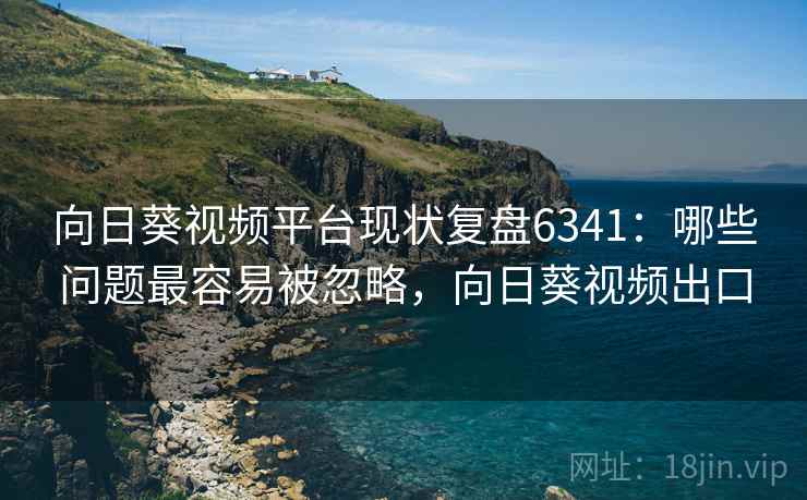 向日葵视频平台现状复盘6341：哪些问题最容易被忽略，向日葵视频出口