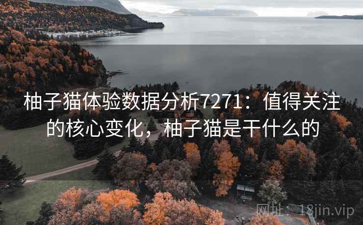 柚子猫体验数据分析7271：值得关注的核心变化，柚子猫是干什么的