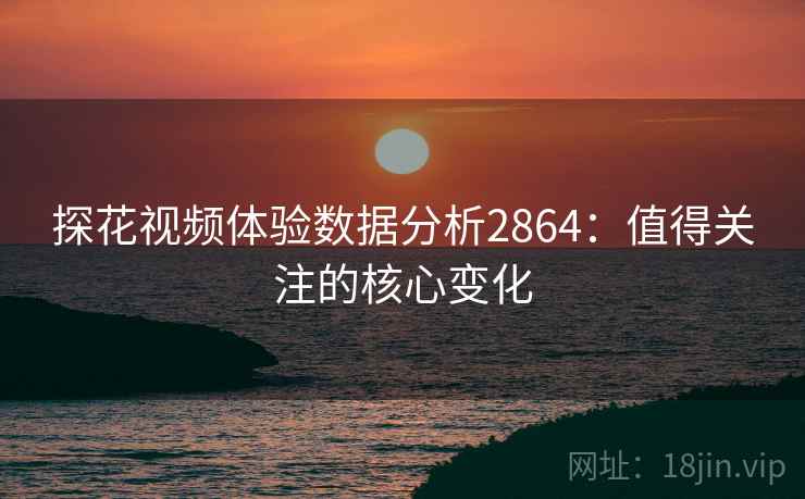 探花视频体验数据分析2864:值得关注的核心变化 探花视频体验数据分析2864:值得关注的核心变化