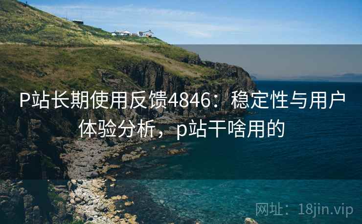 P站长期使用反馈4846：稳定性与用户体验分析，p站干啥用的