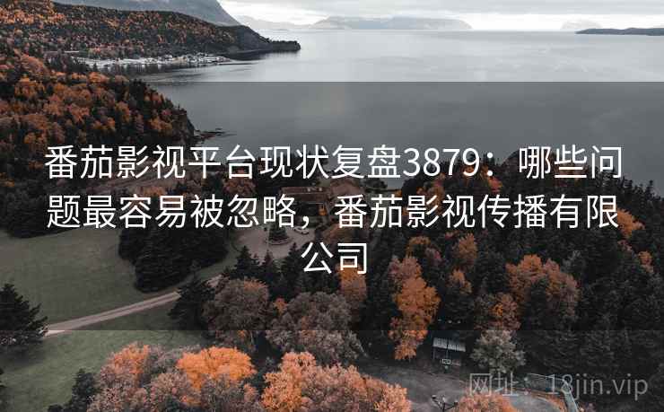 番茄影视平台现状复盘3879：哪些问题最容易被忽略，番茄影视传播有限公司