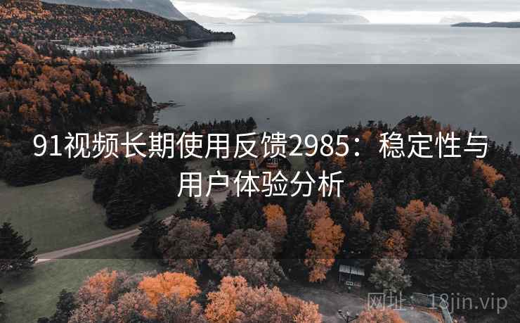 91视频长期使用反馈2985：稳定性与用户体验分析