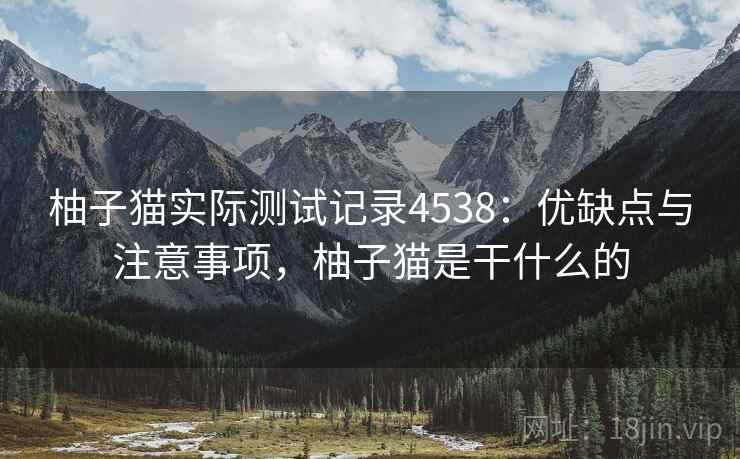 柚子猫实际测试记录4538:优缺点与注意事项,柚子猫是干什么的 柚子猫实际测试记录4538:优缺点与注意事项,柚子猫是干什么的