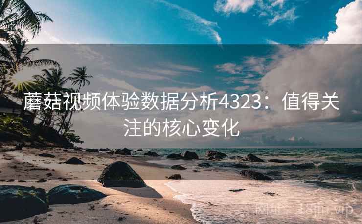 蘑菇视频体验数据分析4323：值得关注的核心变化