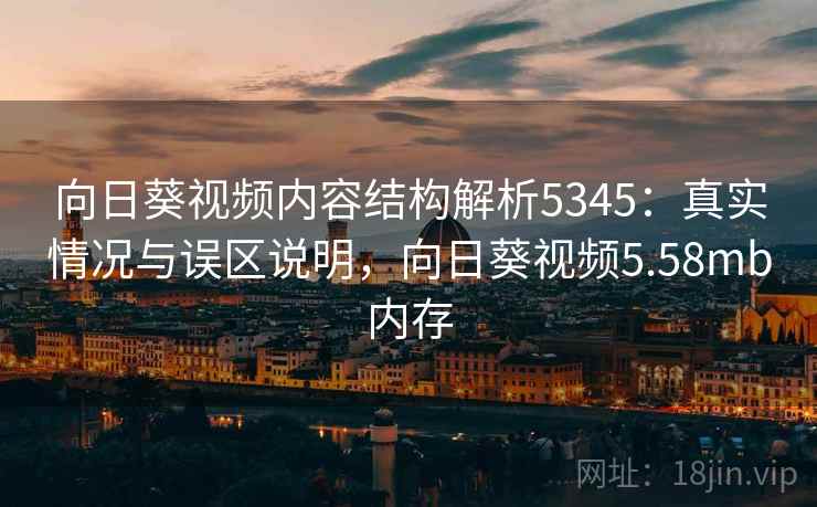 向日葵视频内容结构解析5345：真实情况与误区说明，向日葵视频5.58mb内存