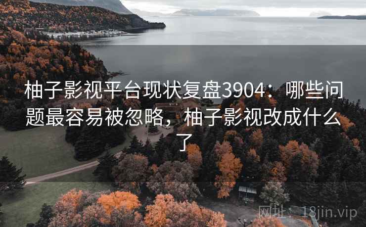 柚子影视平台现状复盘3904：哪些问题最容易被忽略，柚子影视改成什么了