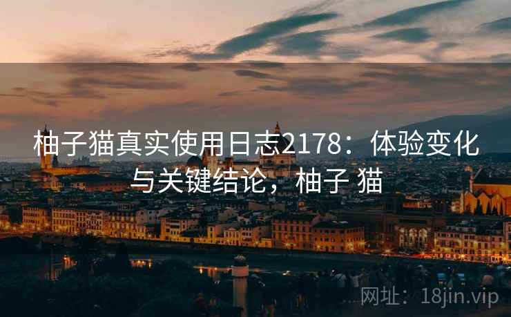 柚子猫真实使用日志2178：体验变化与关键结论，柚子 猫