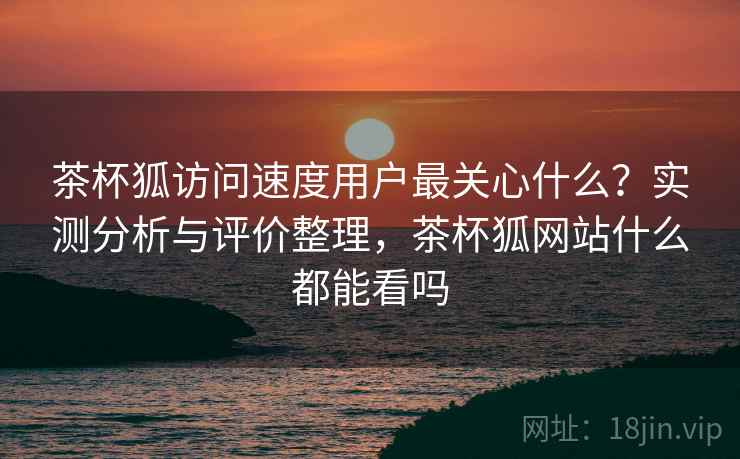 茶杯狐访问速度用户最关心什么？实测分析与评价整理，茶杯狐网站什么都能看吗